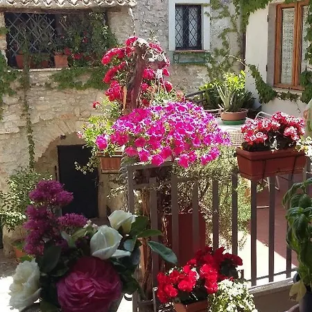 Eremo Di Santo Apollinare Apartamento *